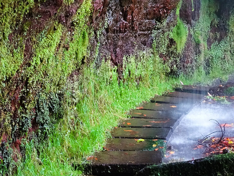Levada Do Rei: Embrace Nature's Grandeur Embark on a journey through Levada Do Rei, where Madeira's lush landscapes reveal their splendor. Immerse yourself in the tranquil beauty of this scenic trail, where nature's magnificence awaits.