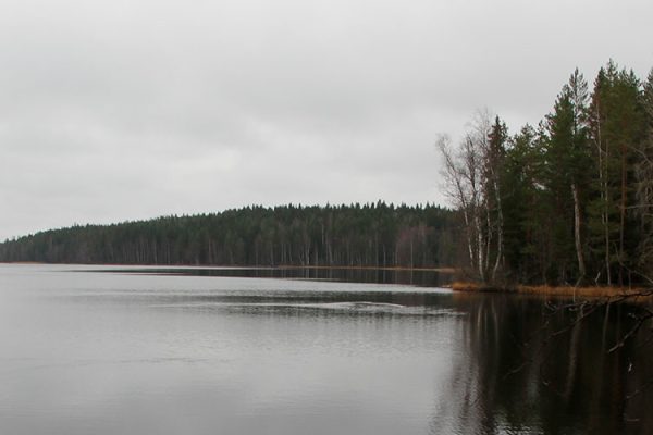 Liesjärvi-National-Park