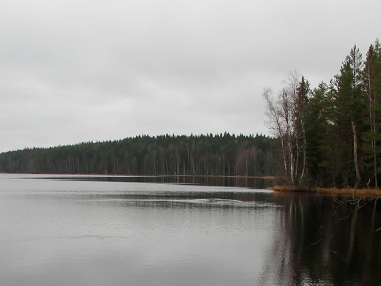 Liesjärvi National Park in Finland boasts rugged woods, fertile fields, and sights like the Kyynäränharju esker, Ahonnokka forest, and Korteniemi Farm, inviting nature lovers and hikers to explore.