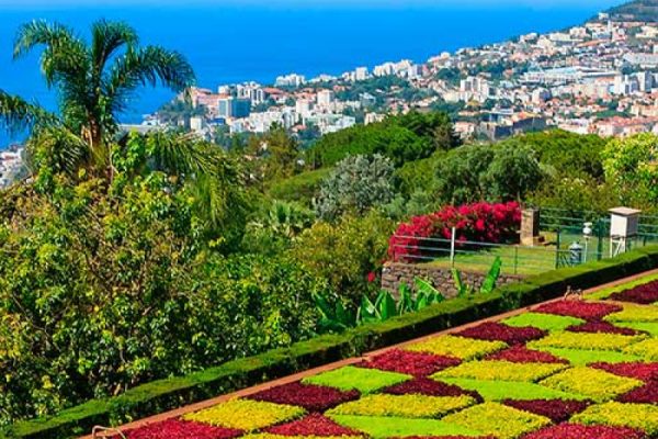 Madeira Island tours