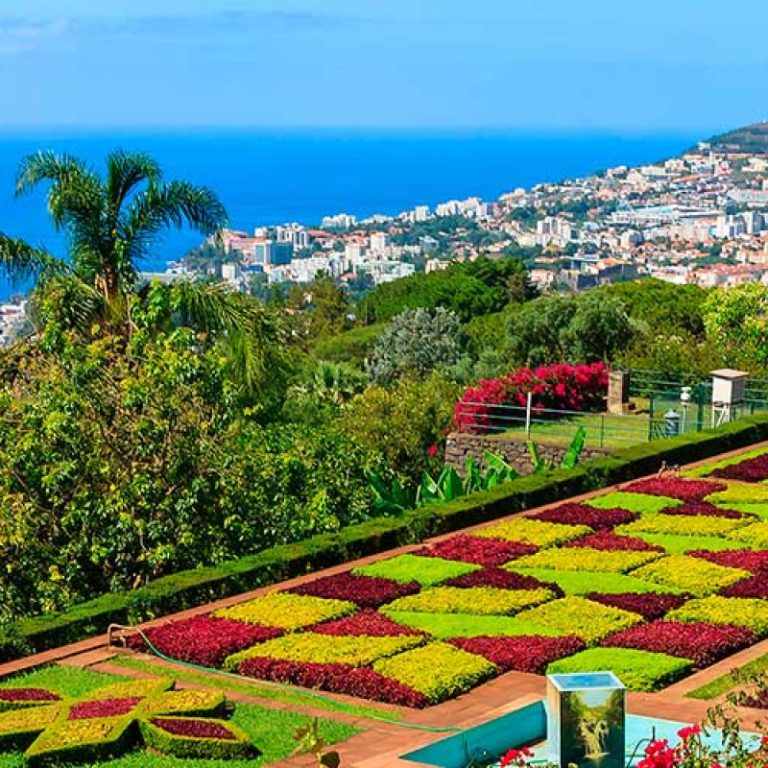 Madeira Island tours