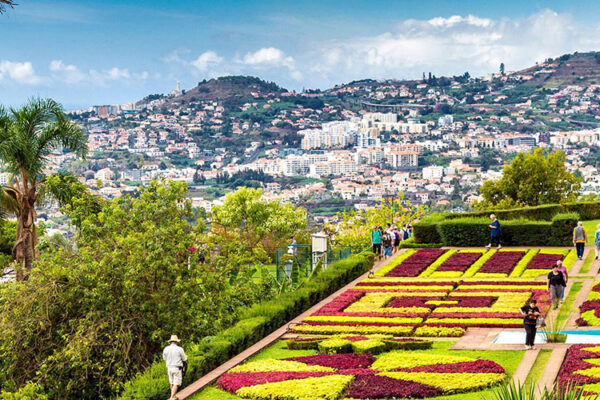 Monte & Botanical Gardens Tour in Madeira starts the journey leading to Monte. This is one of the most emblematic places in Madeira. Admire the views over Funchal Bay.