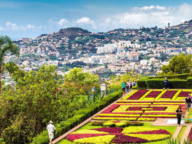 Monte & Botanical Gardens Tour in Madeira starts the journey leading to Monte. This is one of the most emblematic places in Madeira. Admire the views over Funchal Bay.