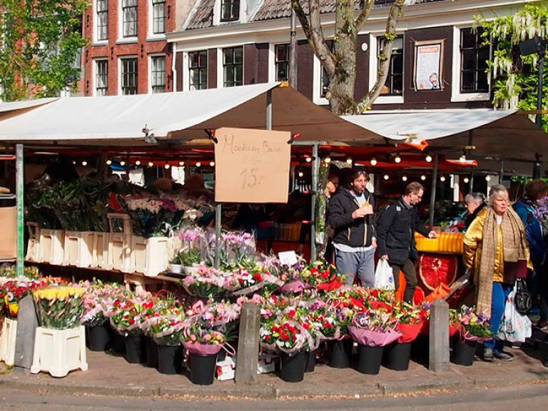The Noordermarkt is a historic market in Amsterdam, Netherlands that is known for its international offerings and charming atmosphere. The market dates back to the 17th century and has a rich history.