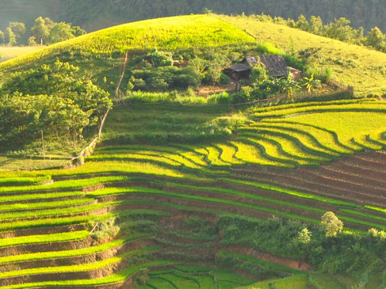 Looking to get away from it all and experience some of Vietnam's best trekking? Then look no further than Sa Pa! This breathtaking region offers stunning scenery, friendly locals, and a chance to really get back to nature. And with villages like Cat Cat and Ta Phin, you can even enjoy all this without a guide. So come on down to Sa Pa and start your adventure today!