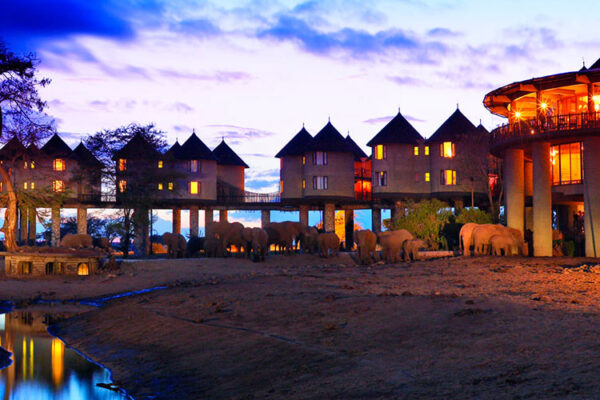 Salt Lick Safari Lodge, set in Kenya's Taita Hills, offers luxury accommodation with stunning views. Guests enjoy private balconies and unforgettable experiences in this secluded location.