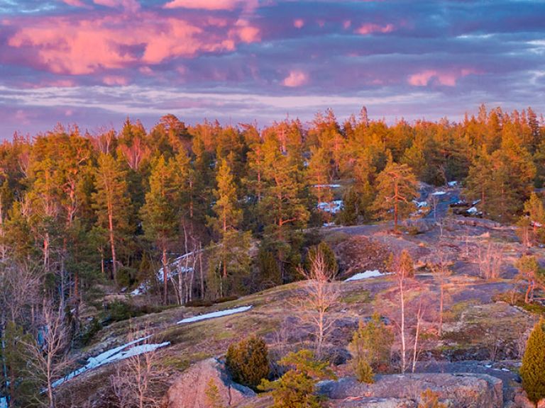 Sipoonkorpi National Park, located 35km northeast of Helsinki, Finland, spans 12 square kilometers of diverse forests, marshes, and meadows. It hosts a wide array of plant, bird, mammal, reptile, and amphibian species.