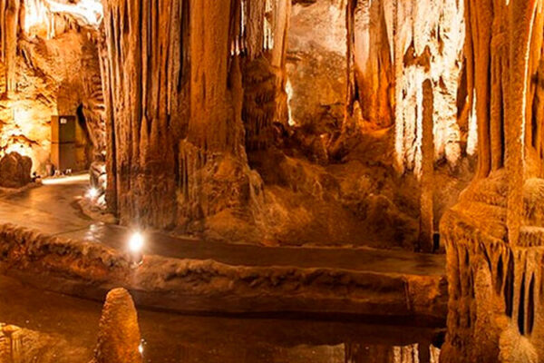 Situated in Sterkfontein, South Africa, the renowned limestone Sterkfontein Caves boast fossil treasures like "Mrs. Ples". Open for tours, they captivate visitors with their historic significance since their discovery by farmer Jacobus Diedericks in 1886.