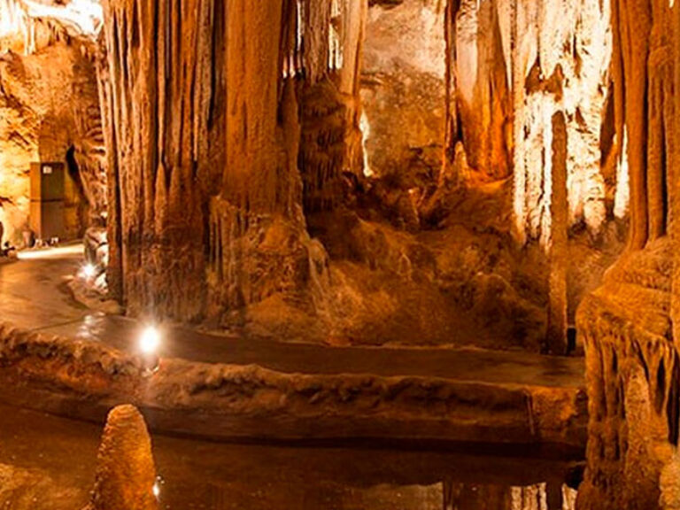 Situated in Sterkfontein, South Africa, the renowned limestone Sterkfontein Caves boast fossil treasures like "Mrs. Ples". Open for tours, they captivate visitors with their historic significance since their discovery by farmer Jacobus Diedericks in 1886.