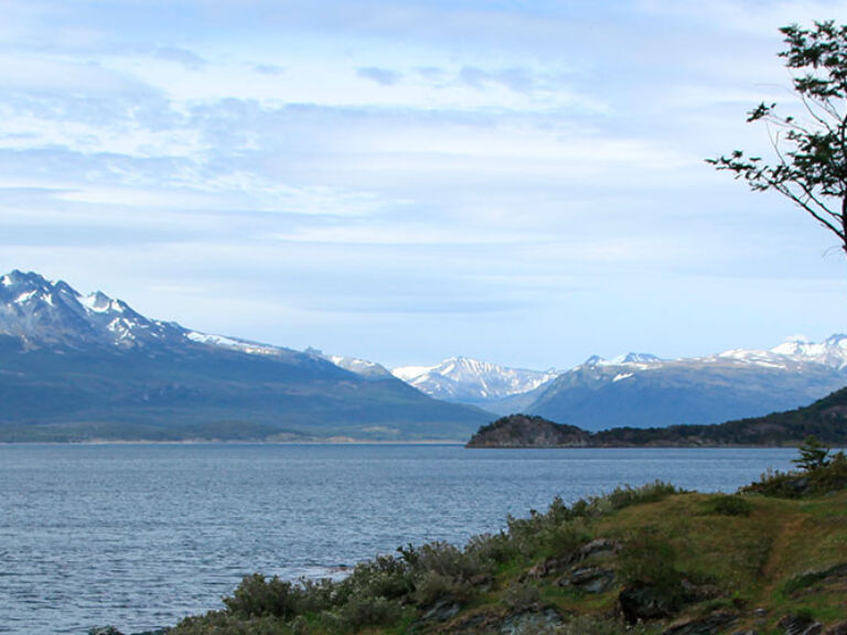Tierra del Fuego National Park, in southern Argentina, spans 726,000 hectares on the island of Tierra del Fuego. Its diverse landscape hosts guanacos, foxes, hares, Falkland steamer ducks, and numerous bird species amid mountains, forests, glaciers, and lakes.
