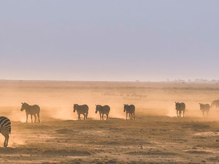 Explore Kenya's vast Tsavo East National Park, among the oldest and largest at 13,747 sq km. Encounter lions, elephants, rhinos, antelope herds, and diverse birds amid open grasslands and savannahs.