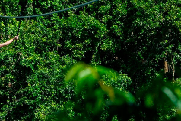 Embark on a thrilling zip line canopy tour in Costa Rica! Soar through the jungle, reveling in breathtaking rainforest views below. Perfect for all adventure enthusiasts, with various options to suit your thrill level.