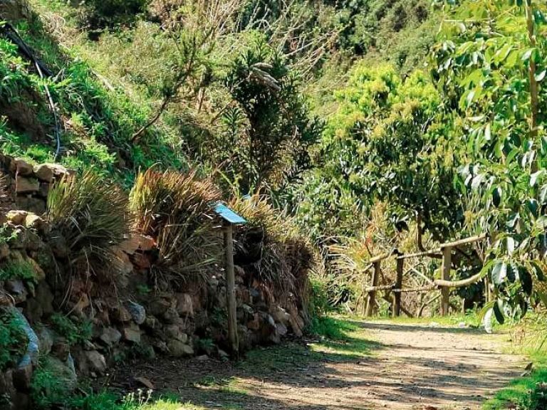 The Chania Botanical Garden offers a serene nature walk in a mountain valley. Surround yourself with beautiful plants and flowers, making it an ideal destination for botany enthusiasts and nature lovers alike.