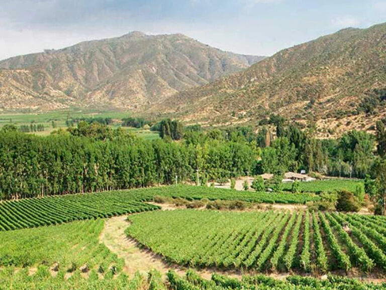 The Maipo Valley, south of Santiago, Chile, is renowned for its stunning scenery and climate, ideal for grape-growing. Home to prestigious vineyards, this valley produces diverse wines, reflecting Chile's rich wine heritage.