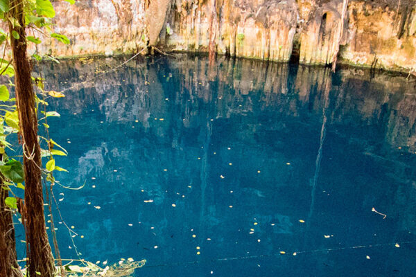 Oxman Cenote