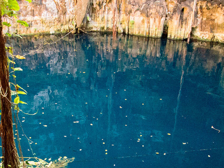 Oxman Cenote - A Magical Oasis near Valladolid, Mexico Located in the Yucatán Peninsula, Oxman Cenote, with its lush jungle surroundings, mesmerizing waterfall, and underground river, beckons travelers seeking a surreal and unforgettable experience.