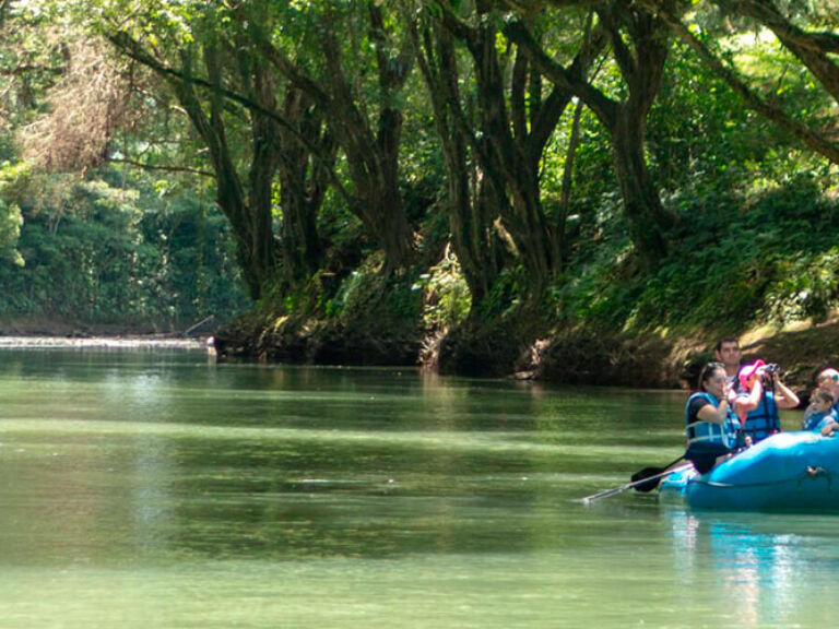 Discover the Peñas Blancas River in Costa Rica, renowned for its stunning white sand beaches and crystal-clear waters. A perfect spot for relaxation, swimming, fishing, and kayaking, it promises an unforgettable experience.