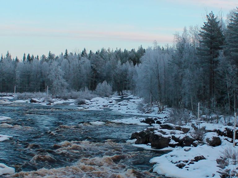 Vikaköngäs, near Rovaniemi in Finnish Lapland, offers stunning natural beauty, including forests, gorges, and lakes. Enjoy hiking, fishing, and swimming in summer, or cross-country skiing and snowshoeing in winter.