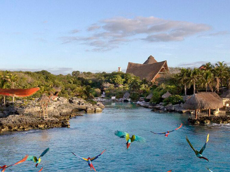 Xcaret park offers 50+ fun activities for all ages, from snorkeling and exploring ruins to zip-lining. Enjoy family time with zoo animals and a playground.