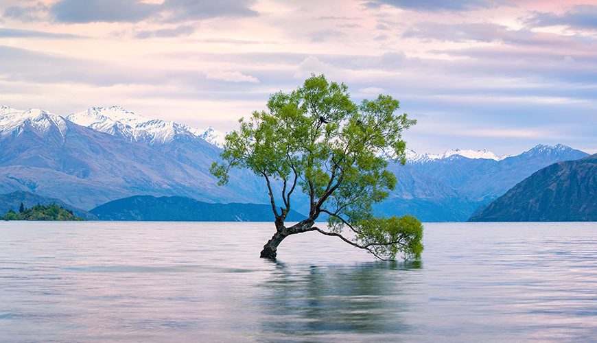 Across New Zealand, you can find everything from untamed wilderness to rich culture. From towering mountains and mist-cloaked fjords, you can find serenity in golden beaches curled around quiet bays.