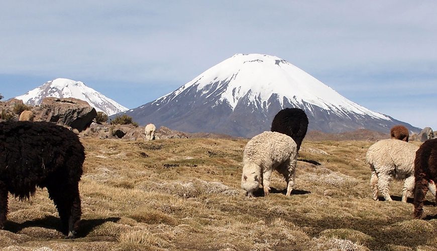 Chile, South America