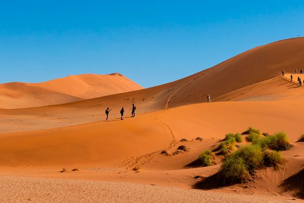 Namibia is a country renowned for its breathtaking landscapes, abundant wildlife, and rich cultural heritage. From vast deserts to rugged coastlines, this Southern African gem offers a unique and unforgettable experience.