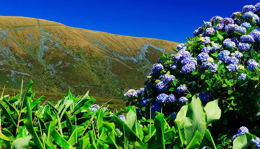 Island of Flores Azores Portugal