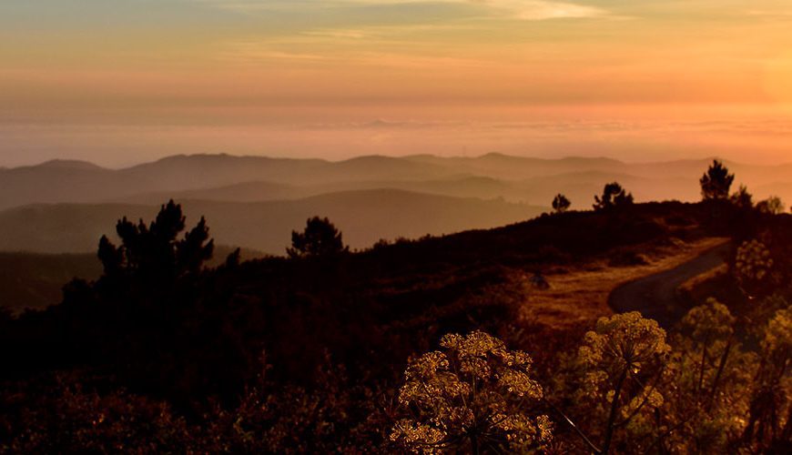 Discover the tranquility and natural beauty of Monchique, a picturesque mountain town in the Algarve. Explore lush forests, majestic peaks, and healing thermal waters. Indulge in traditional crafts, savor local cuisine, and immerse yourself in the rich culture and peaceful ambiance of this charming mountain retreat.