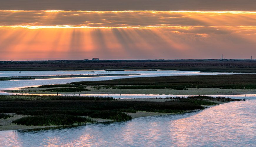 Experience the natural beauty of Ria Formosa, a stunning coastal lagoon and natural park in the Algarve. Explore its diverse ecosystems, pristine beaches, and abundant wildlife. Take a boat tour, spot migratory birds, and immerse yourself in the tranquility of this remarkable natural paradise.