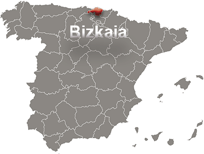 Spain map with Bizkaia detail