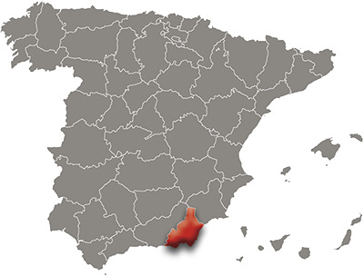 Spain map with Almeria detail