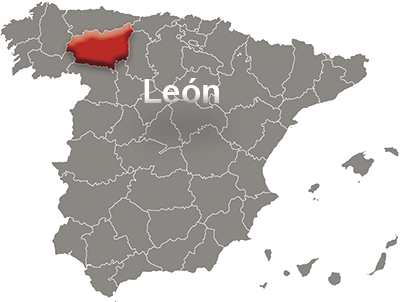 Spain map with Leon detail