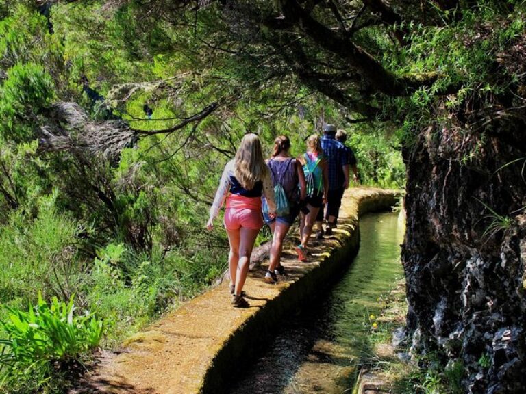NorthWest Landscapes: Embark on a thrilling off-road adventure and immerse yourself in the captivating landscapes of Northwest Madeira with our Northwest Landscapes, UNESCO & Volcanic Pools 4x4 Experience. Journey through the countryside in our open-top 4x4 vehicle, accompanied by our knowledgeable, experienced, and fun guides.