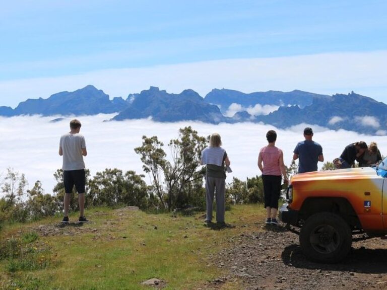 Northwest Terraces and Volcanic Pools 4×4 Full Day Tour - Explore the northwest side of Madeira in a 4x4 vehicle with an...