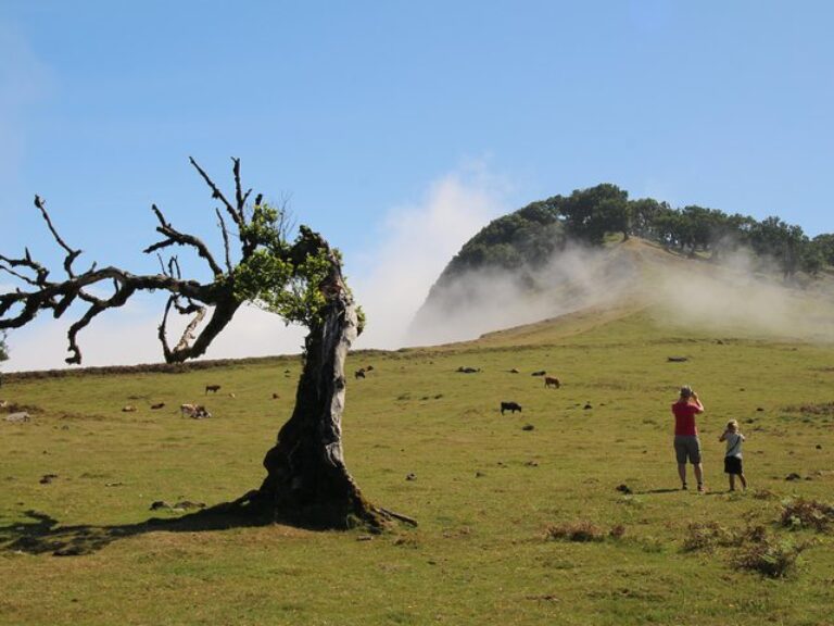 Porto Moniz 4×4 West tour - Starting with pickup from your hotel or accommodation, climb aboard for a ride to Serra d'Água...