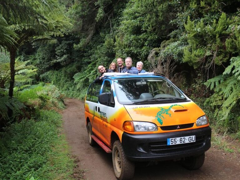 Northwest Terraces and Volcanic Pools 4×4 Full Day Tour - Explore the northwest side of Madeira in a 4x4 vehicle with an...