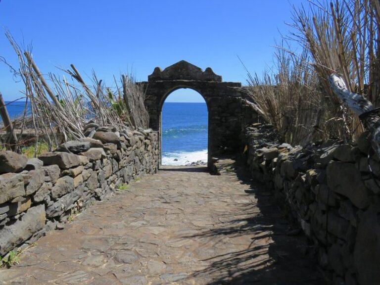 Northeast meet the locals 4×4 tour – Santana / Caniçal - Explore the NorthEast of Madeira Island. We will take you thru...