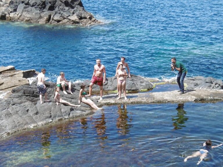 Northwest Terraces and Volcanic Pools 4×4 Full Day Tour - Explore the northwest side of Madeira in a 4x4 vehicle with an...