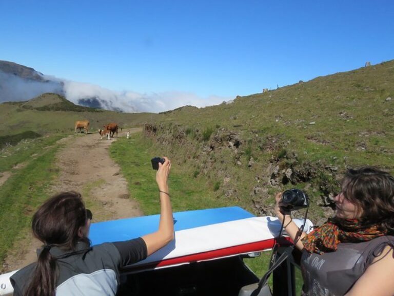Northeast 4×4 Santana and Landscapes Day Trip - Discover the eastern side of Madeira in a 4x4 vehicle with an open top roof.