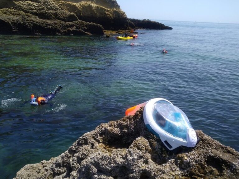 Kayak Adventure Arrábida - Get ready for a full day adventure to explore Arrábida Natural Park. We sail along an untouched...