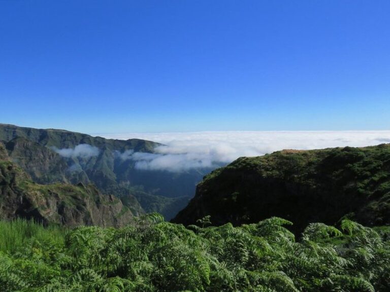 Nun’s Valley Open 4X4 Tour - On this tour, you will visit the interior of Madeira Island, visiting the Curral das Freiras...