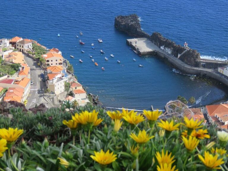 Madeira Sea Cliff: Embark on an exhilarating half-day adventure with our 4WD open-top roof vehicle, exploring the captivating sights of Madeira Island. Discover the awe-inspiring skywalk at "Cabo Girão" towering 580 meters above, witness breathtaking viewpoints nestled at 1200 meters high, traverse enchanting forests adorned with diverse trees and flowers, and conclude your journey at the picturesque coastal fishing village of Camara de Lobos, known for its connection to Winston Churchill.