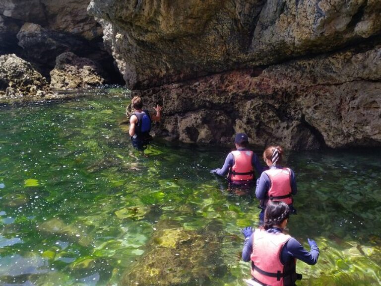 Kayak Adventure Arrábida - Get ready for a full day adventure to explore Arrábida Natural Park. We sail along an untouched...