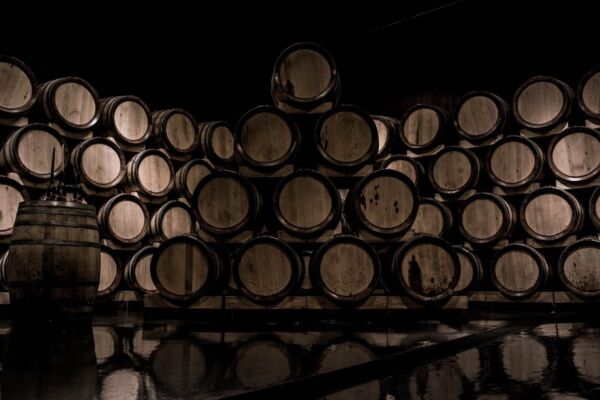 Visit To The Cellar With Wine Tasting – Departure From Setúbal