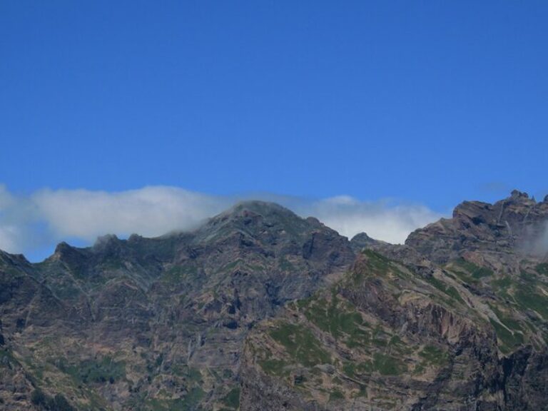 Madeira Sea Cliff: Embark on an exhilarating half-day adventure with our 4WD open-top roof vehicle, exploring the captivating sights of Madeira Island. Discover the awe-inspiring skywalk at "Cabo Girão" towering 580 meters above, witness breathtaking viewpoints nestled at 1200 meters high, traverse enchanting forests adorned with diverse trees and flowers, and conclude your journey at the picturesque coastal fishing village of Camara de Lobos, known for its connection to Winston Churchill.