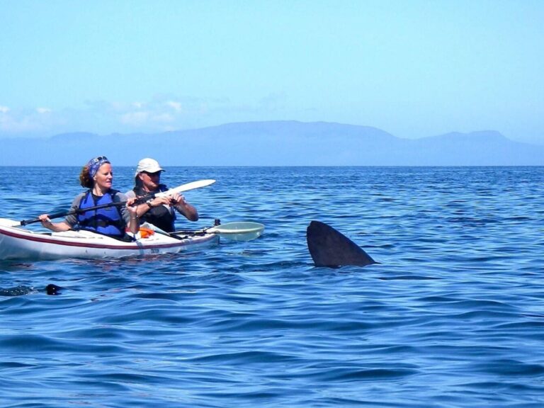 Kayaking In The Ocean: Indulge in an unforgettable experience as you navigate the azure waters of the Atlantic Ocean through our exhilarating Kayaking in the Ocean tour. Discover the beauty of Terceira Island's landscapes while immersing yourself in the thrill of action and adventure.