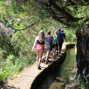 Porto Moniz With The Locals: Northwest 4x4 excursion, forest, fauna & flora, waterfalls, & volcanic pools. Enjoy the countryside off the beaten track in a 4x4 vehicle with knowledgeable, experienced and fun guide. We will show you the Northwestern side of Madeira, you will meet the local traditions, culture, history, "levadas", forest, fauna & flora, waterfalls, swim at the volcanic lava pools, local food, traditional drinks including the "poncha".