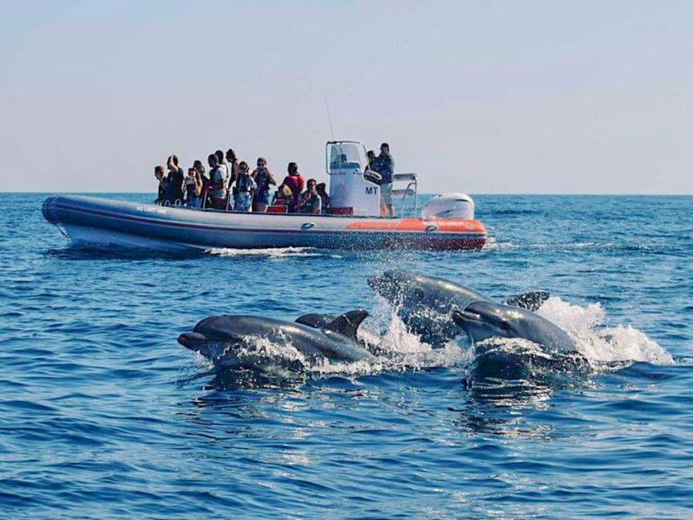 Safari with Boat Tour from Albufeira