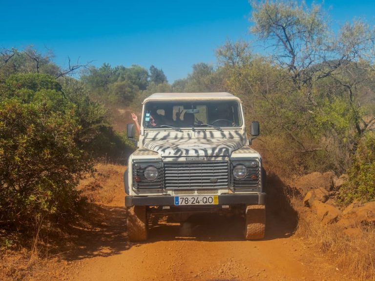 Jeep Safari Tour: Embark on a Thrilling Half-Day Jeep Safari Tour in Algarve's Countryside. Discover the captivating charm of the Algarve countryside with our exhilarating half-day Jeep Safari Tour. Immerse yourself in the region's rich traditions, history, and breathtaking landscapes as you embark on an adventure that guarantees adventure, fun, and entertainment.