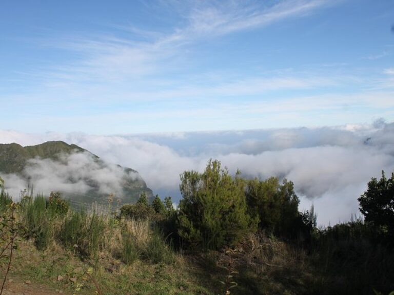 Porto Moniz 4×4 West tour - Starting with pickup from your hotel or accommodation, climb aboard for a ride to Serra d'Água...